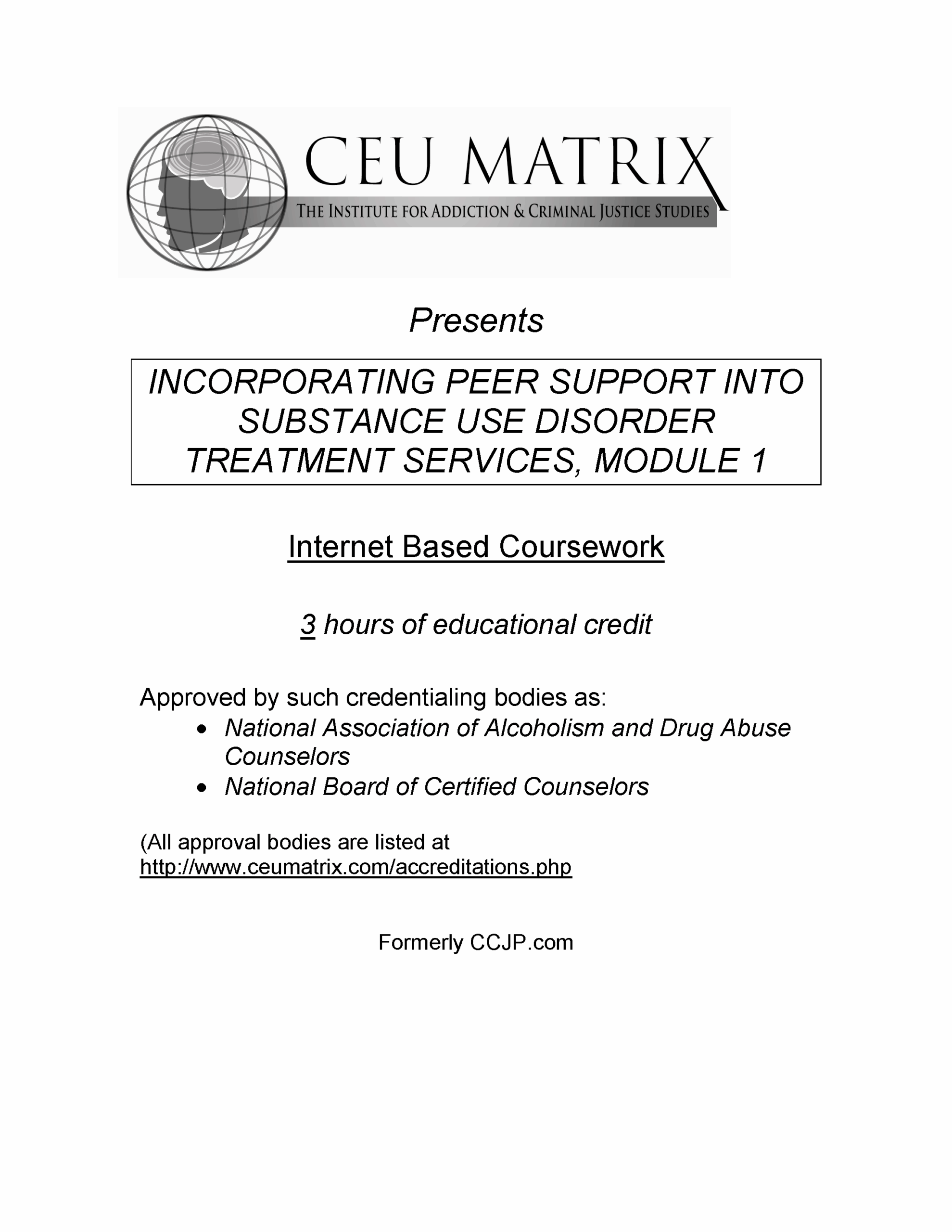 Treatment Service Module INCORPORATING PEER SUPPORT INTO SUBSTANCE USE DISORDER TREATMENT ...