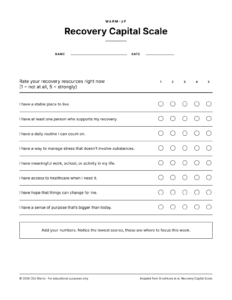 Recovery Capital Scale